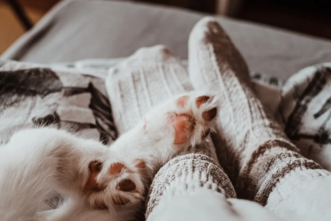 You are currently viewing The Meaning Of Gifting Socks In A Relationship