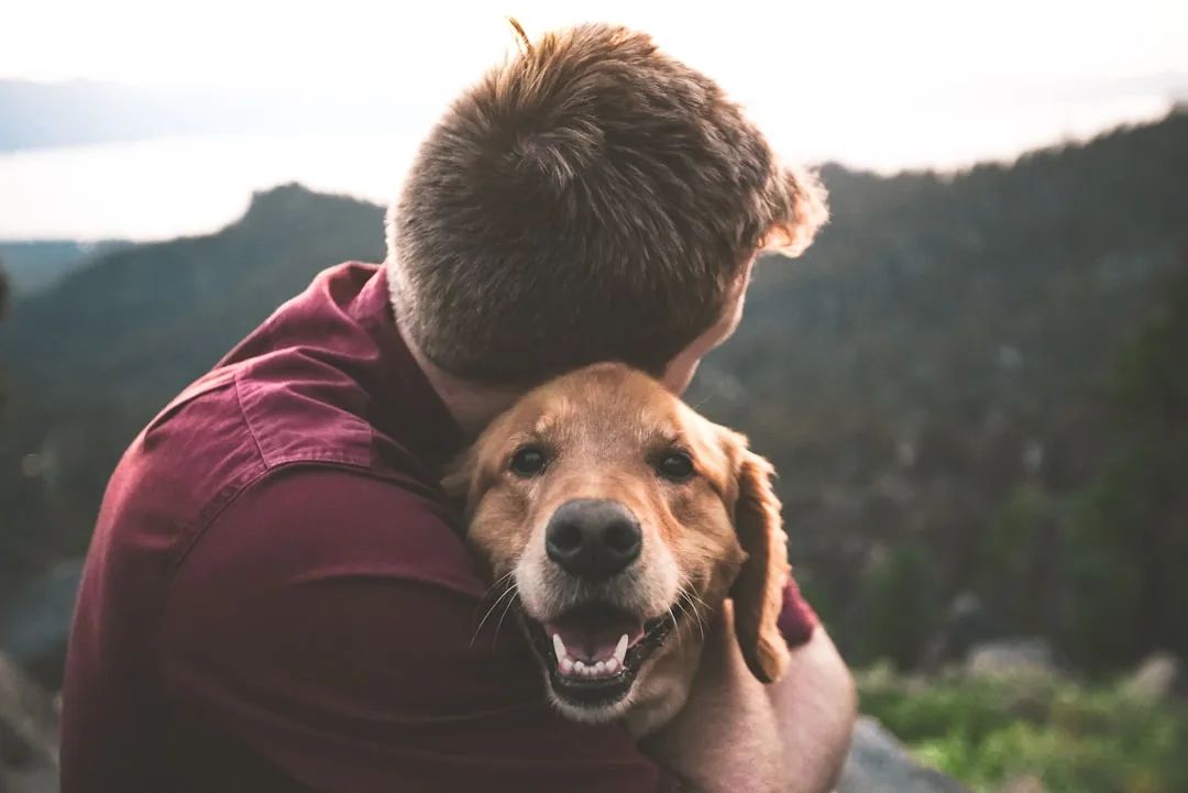 You are currently viewing A Sentimental Gift For Someone Grieving A Pet: Thoughtful Ideas
