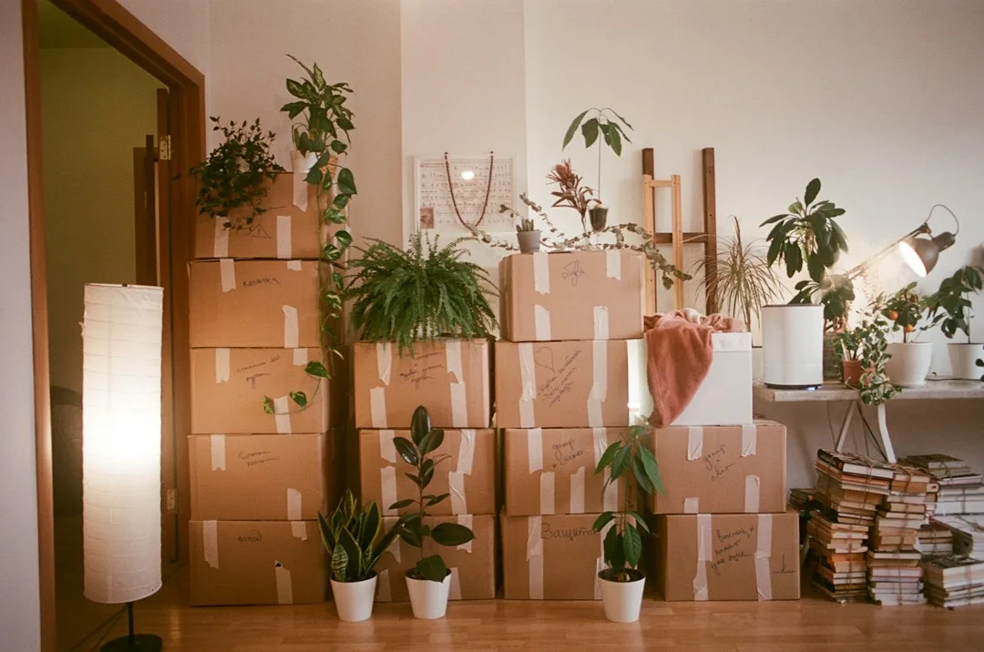 Moving boxes and useful household items in a first apartment