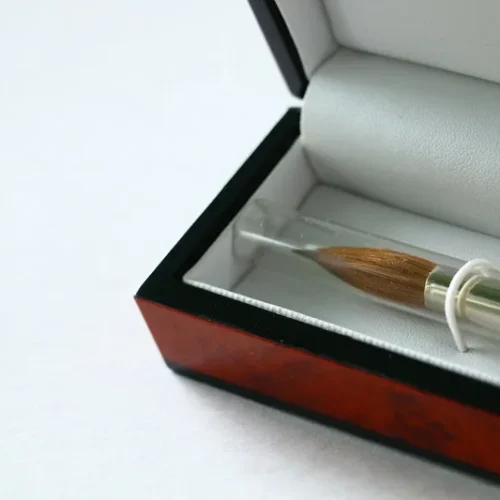 Elegant fountain pen in gift box representing the meaning of receiving a pen as a gift