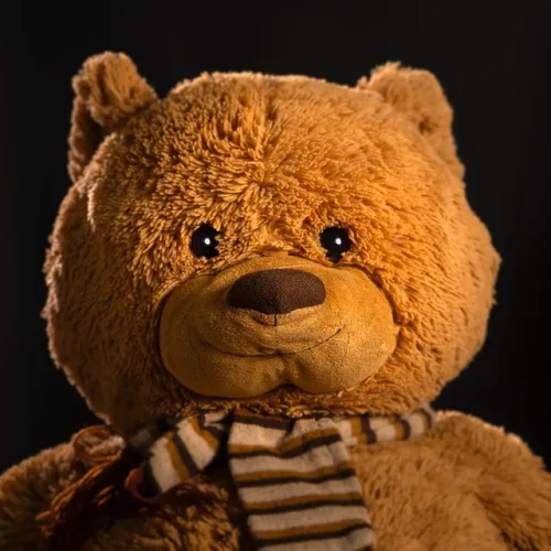 Soft teddy bear representing the meaning of receiving a stuffed animal as a gift